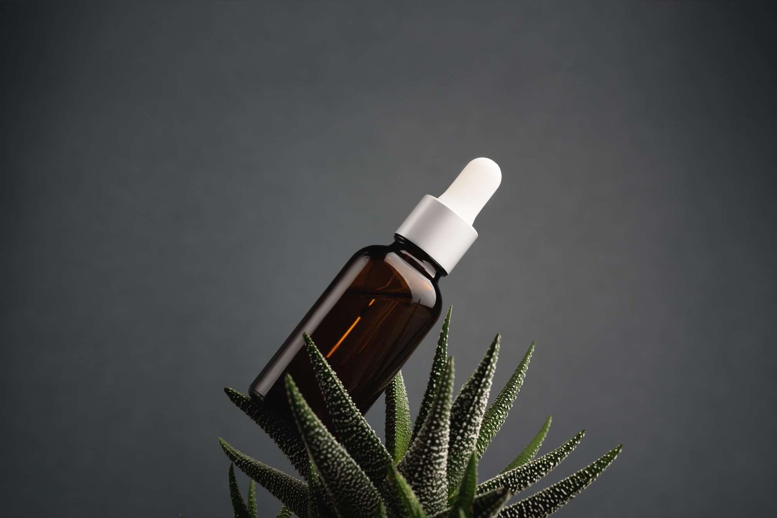 Glass dropper bottle on the aloe on the grey background.